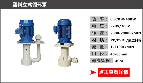 塑料立式循環泵